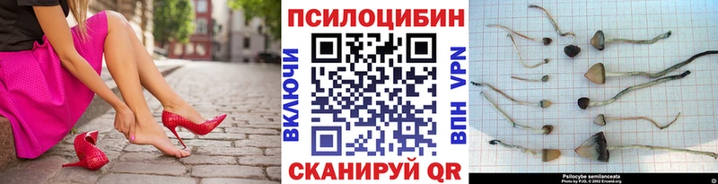 Псилоцибиновые грибы MAGIC MUSHROOMS  наркотики  Называевск 